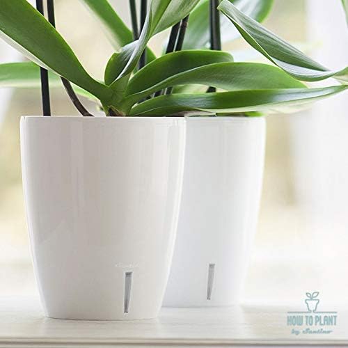 Santino 4.9 Inch ORCHIDEA Self Watering Pots for Orchids in Anthracite (Set of 3) - Decorative Wicking Planter with w/Great Aerification, Drainage and Water Level Indicator