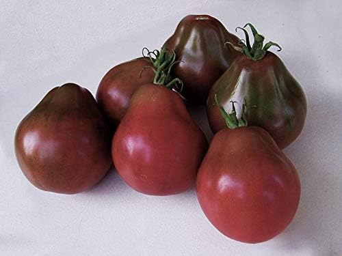 Seeds Black Truffle Tomato Japanese Determinate Non GMO Vegetable for Planting