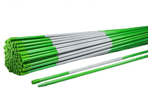 5ft Green Pro Snow Stakes - 60" x 5/16" Driveway Markers, Pointed Tip, Hy Viz Reflective Tape, Armor Cap (Choose Quantity) (10)