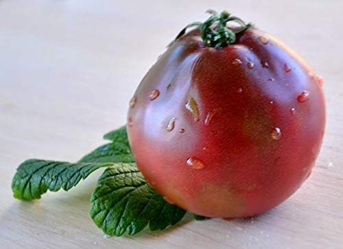 Seeds Black Truffle Tomato Japanese Determinate Non GMO Vegetable for Planting