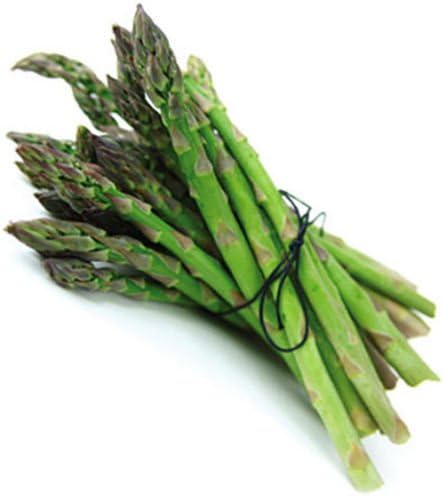 KVITER Organic Vegetable Seeds, Non GMO, Jersey Knight Asparagus Seeds (Asparagus officinalis), 100 Seeds