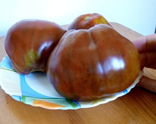 Seeds Black Truffle Tomato Japanese Determinate Non GMO Vegetable for Planting