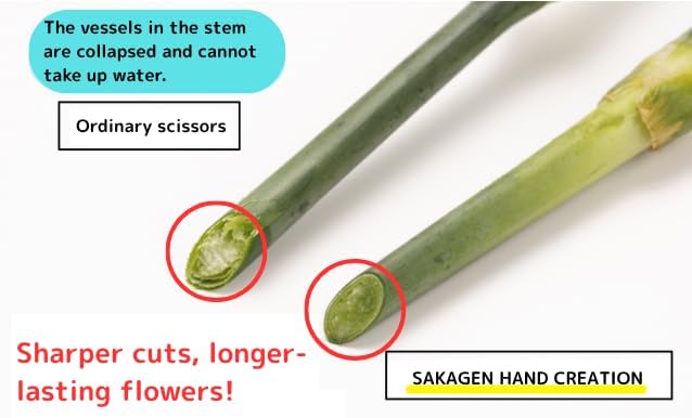 Japanese Florist Scissors – Professional Ultra Sharp Flower Shears Made in JAPAN for Ikebana Floral Design & Gardening SAKAGEN HAND CREATION F-170 (Lavender)