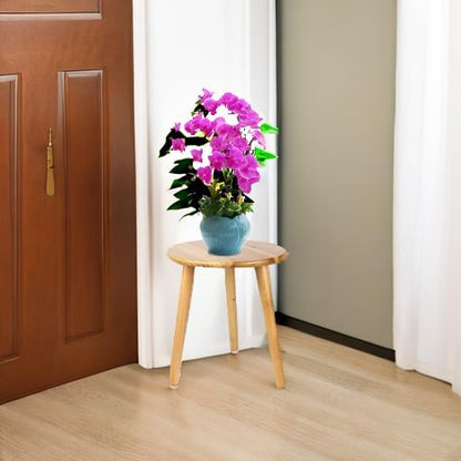 Plant Stand stool for Plant Small Plants Stand - Plant Table Mid Century Plant Stands