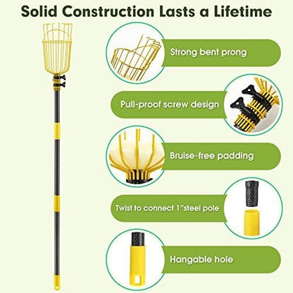 INFLATION Fruit Picker Tool,Apple Picker Pole with Basket,10 FT Adjustable Fruit Picker Pole with Basket Telescoping,Sturdy Basket with Foam Pad for Picking Avocado Acorn Lemon Pear Mango