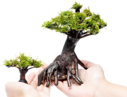 SubstrateSource Live Planted Decor - Moss on Bonsai (Aquascaping Tree) - Low to Moderate Light, Bright Green Freshwater Accent for Aquatic Layouts, Midground Placement Centerpiece - Medium, 1 Pack