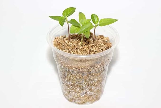 Achieve Ultimate Moisture Balance with Gardenera Perlite Vermiculite Blend - 20 Quart - Perfect for Propagation and Moisture Control (4 Bags of 5 Quart)