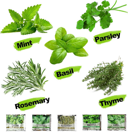 Indoor Herb Garden Kit – Complete Starter Growing Set with Planter Bags, Soil Discs & Tools | Easy DIY Kitchen Herb Garden for Beginners | Perfect Gift for Home & Garden Lovers