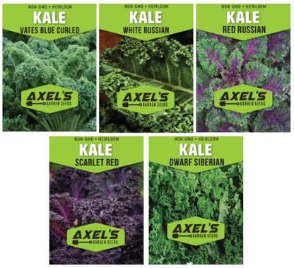 Kale Seeds for Planting - Plant & Grow Heirloom Kale Varieties Home Outdoor Garden – Easy Grow Planting Packet Instructions Included, Great Gardening Gift – 3 Packets of Each Variety