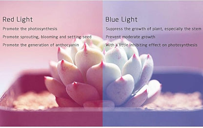 Esbaybulbs 4 Pcs Full Spectrum E26 LED Grow Light Bulb, 28W Grow Plant Light for Hydroponics Greenhouse Organic Indoor Plants