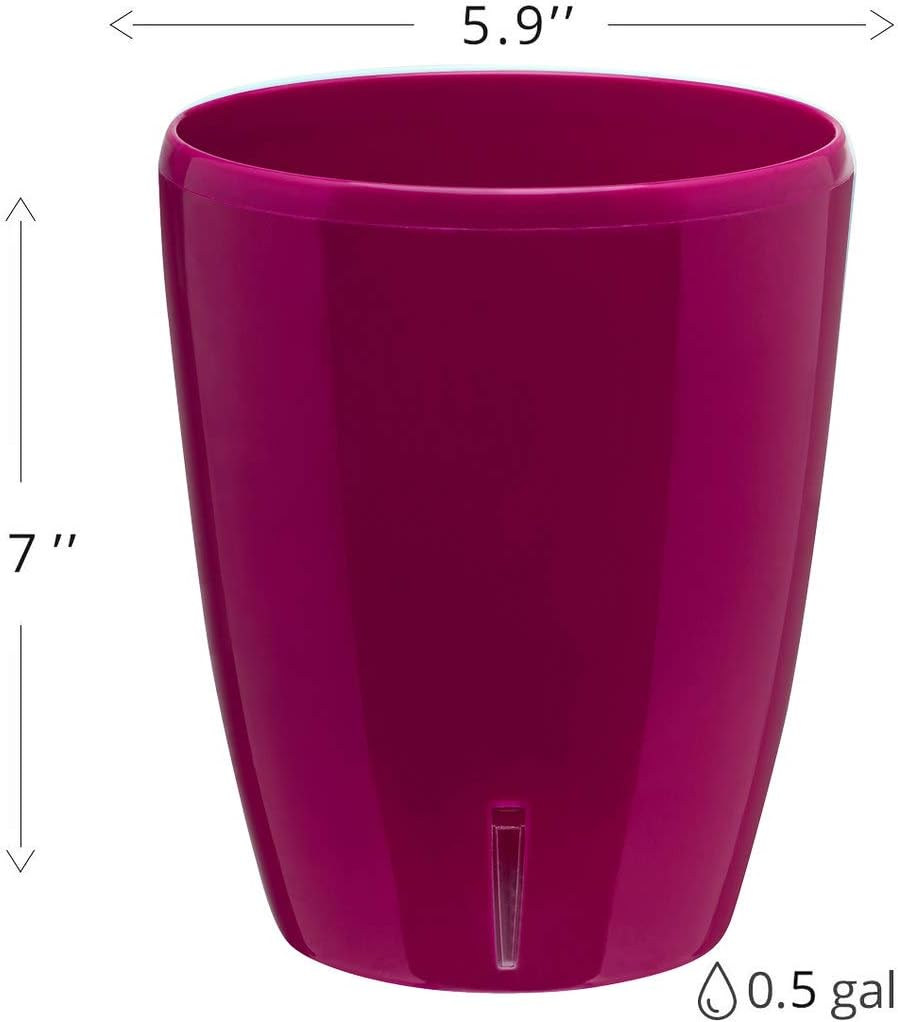 Santino 5.9 Inch ORCHIDEA Self Watering Pots for Orchids in Violet (Set of 3) - Decorative Wicking Planter with w/Great Aerification, Drainage and Water Level Indicator