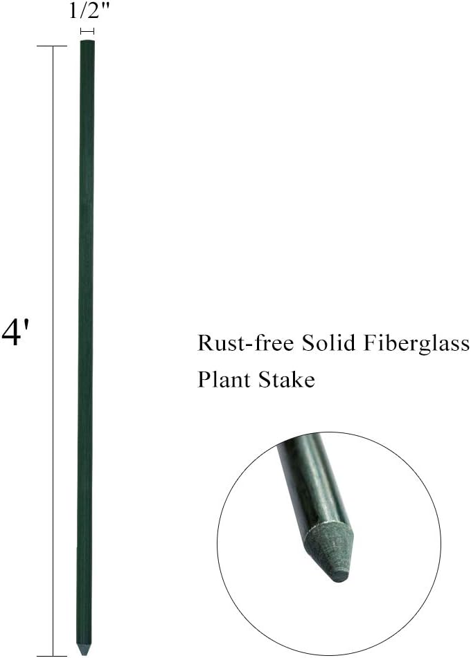 48inch Plant Stakes 10pack, 1/2 Inch Dia Garden Stakes, Garden Poles Tree Stake Cucumber Potato Stake Fence Stake Never Rust, 4ft Long