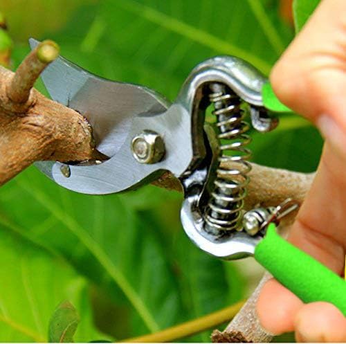 GARDEN GURU Classic Bypass Pruning Shears Clippers – Heavy Duty Forged Steel Garden Pruners – Safety Lock – Non Slip Comfort Grips – Cuts up to 1” Diameter – Professional Bypass Pruners for Gardening