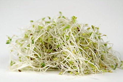 Todd's Seeds Broccoli and Friends Sprouting Seed Mix: Broccoli, Crimson Clover, Red Radish, Alfalfa, Non-GMO, Chemical Free, High Germination (1/2 Pound)