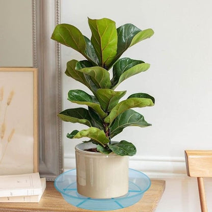 Plant Saucer, Plant Saucers 10 inch 2 Pieces, Plant-Saucers