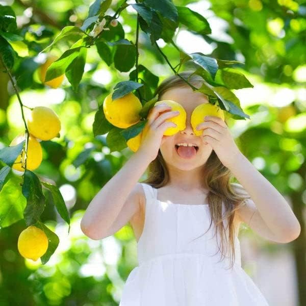 Gardenera's Award-Winning Lemon Tree Soil Mix: The Ideal Choice for Healthy, Productive Citrus Trees - [2 Quart Bag]