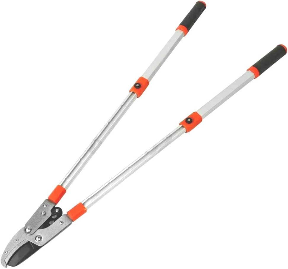 Anvil Lopper with Compound Action, Chops Thick Branches with Ease, 40 Inch Tree Trimmer, Branch Cutter with 2 Inch Clean Cut Capacity