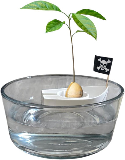 Avocado Seed Starter Boats – Easy Germination Kit for Growing Avocado Trees