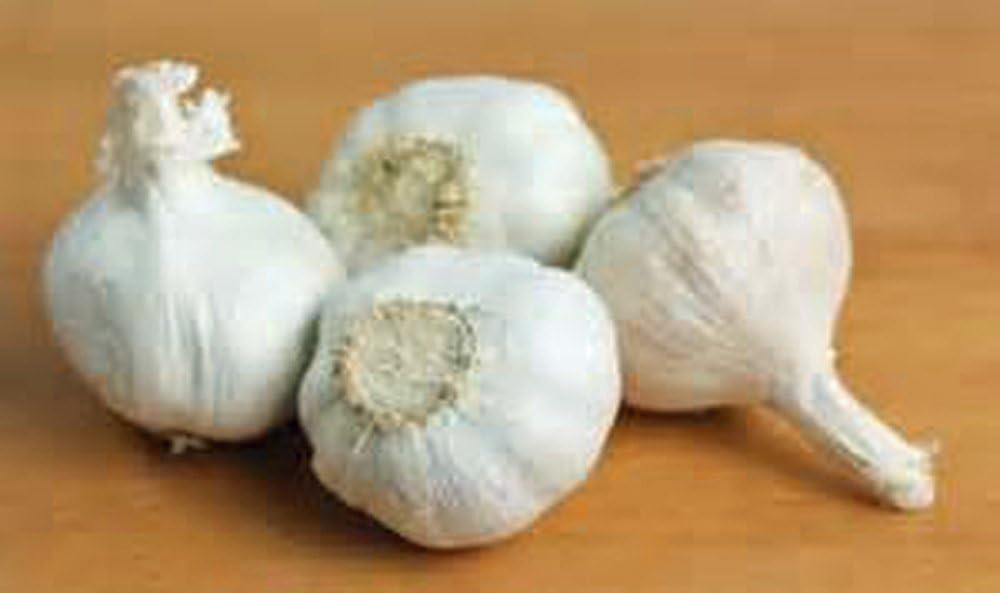Garlic Bulbs, Whole Garlic Bulbs, 2 Pound , Ready for Planting or Preparing as a Great Flavoring for Any Dish. Jacobs Ladder