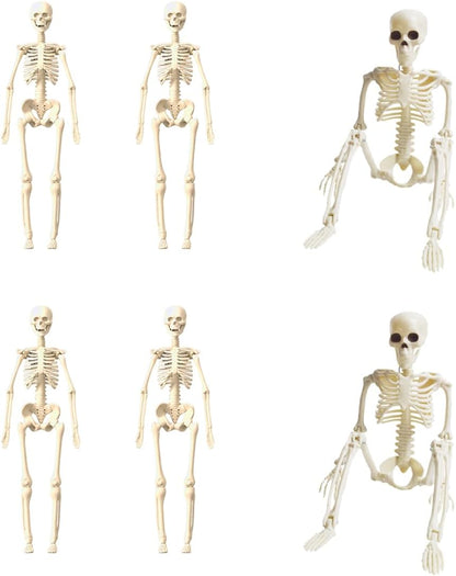 6 Pcs Realistic Spooky Scary Skeletons for Halloween, 16 Inch Outdoor Skeletons Decorations, Skeleton Bulk with Movable Joints for Garden Haunted House Props
