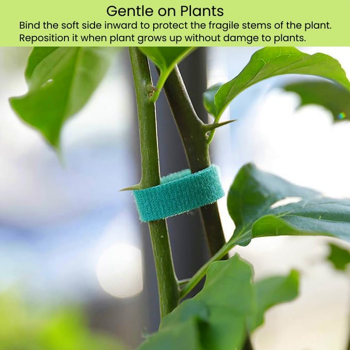 Reusable Plant Ties for Climbing Plants Hook and Loop Green Nylon Plant Straps Tape Double Sided Garden Tie Strap Reusable Adjustable Gentle Support for Vines, Trellis, Tomato (1/2 Inch x 16.4 ft)