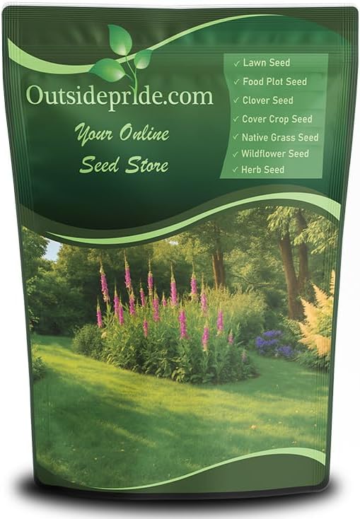 Outsidepride Sheeps Fine Fescue Lawn Grass Seed - 50 Lbs. Perennial Heat & Drought Tolerant Dense, Traffic-Resistant Turf for Shaded Environments w/OptiGrowth Coating for Seed Enhancement