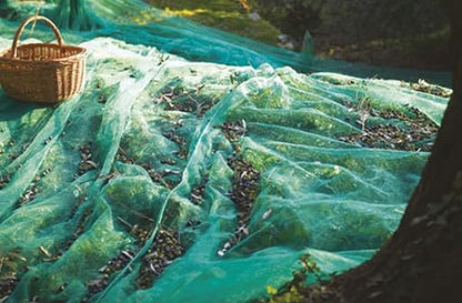 Green Plantation Fruit Collection Agricultural Harvesting Netting Walnut Olive Chestnut Apricot Hazelnut Net, 4x4m/13x13ft
