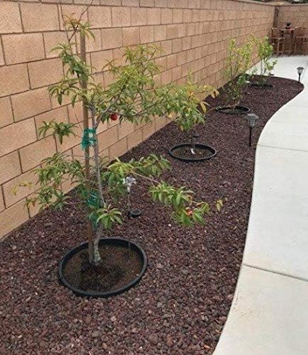 6 Pack of 24 in Planting Rings. Edging and Water Retention. Protects Trees and Separates Rock, Mulch and Grass