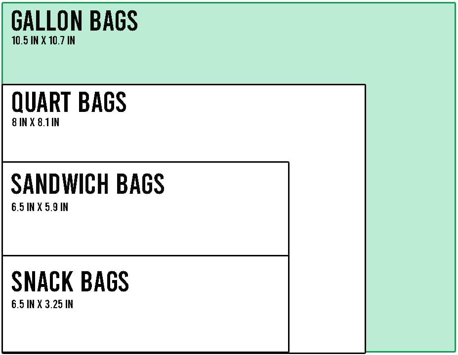 Gallon Food Storage Freezer Bags, 500 Count | Double Zipper | 10.5" * 10.7", Freshness Easy Open Reclosable Clear Plastic Bags