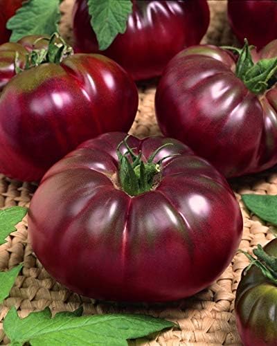 Seeds Vegetable Tomato Black Prince - 50 Seeds