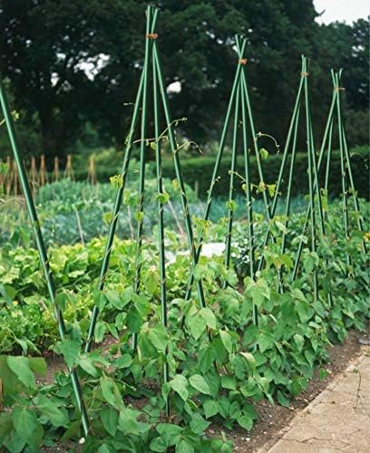 36inch Garden Stakes 5/16" Dia FRP Plant Supporting Stakes for Climbing Tomato Cucumber Strawberry Bean Tree, 20pcs, Dark Green (3ft)