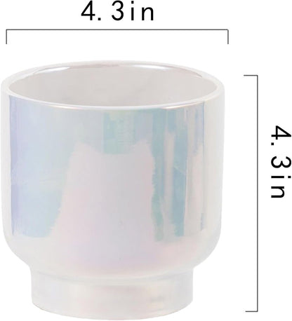LB Blue White Ceramic Planters for Indoor Plants, Succulent Plant Pots Ceramic Plant Pot, Modern Flower Pots for Living Room Office Home Decor, Round Flower Pot of 4.3 Inch(Plant Not Included)