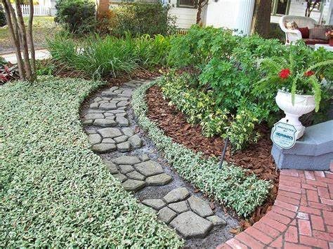 Variegated Asiatic Jasmine | 10 Live 4 Inch Plants | Trachelospermum Asiaticum | Fast Growing Ground Cover, Evergreen Foliage, Low Maintenance Vine, Landscaping Shrub, Drought Tolerant Plant