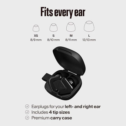 Alpine Tune Earplugs, Concert Ear Plugs for Noise Reduction, High Fidelity Music Quality, 19dB