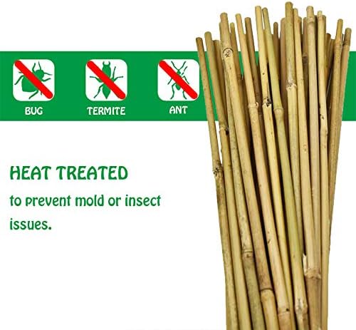 Mininfa Natural Bamboo Stakes 6 Feet, Eco-Friendly Garden Stakes, Plant Stakes Supports Climbing for Tomatoes, Trees, Beans, 20 Pack