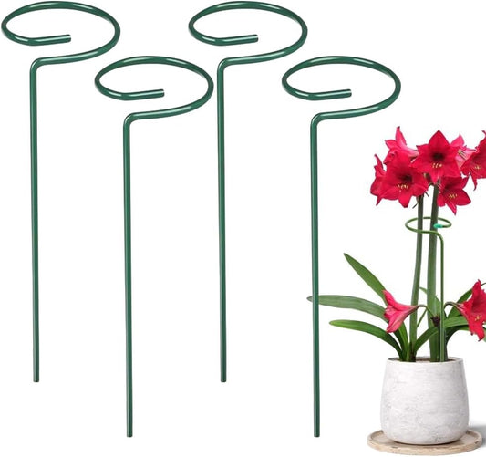 4/8/12 Pack Plant Stakes, 16/24/36 Inch Plant Support Stakes, 2025 New Plant Sticks Support, Flower