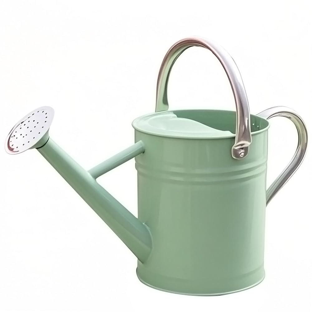 yourjoy Metal Watering Can 1 Gallon for Outdoor Garden Plants, CGreen