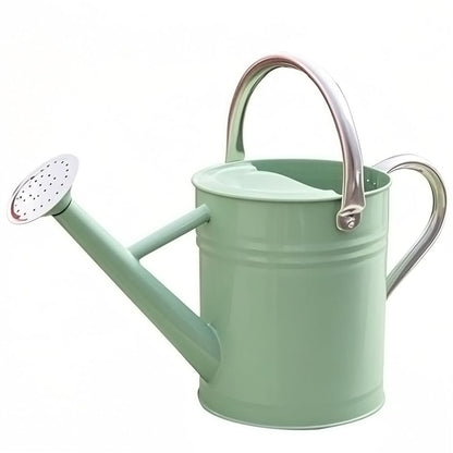 yourjoy Metal Watering Can 1 Gallon for Outdoor Garden Plants, CGreen