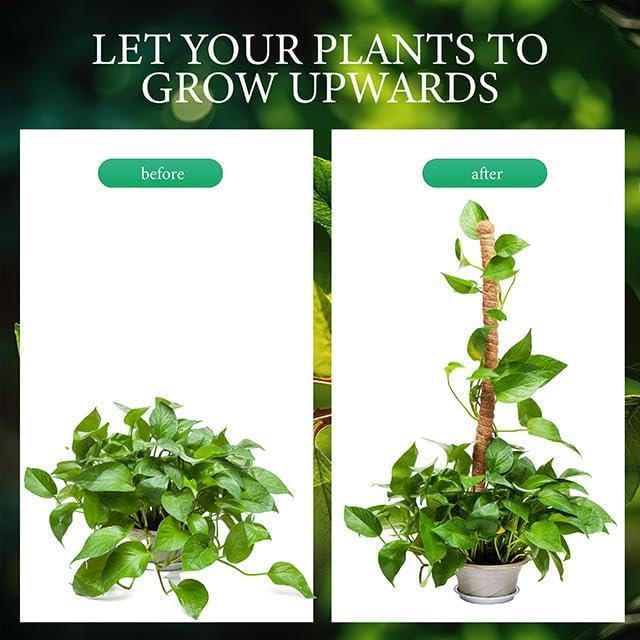 2 Pack Moss Pole for Plants (Moss Pole 48")
