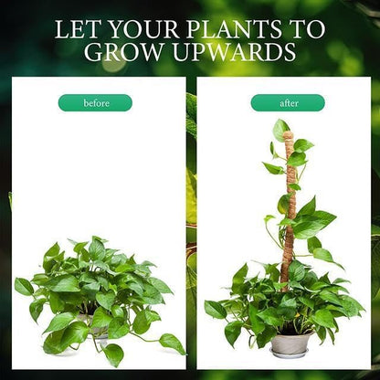 2 Pack Moss Pole for Plants (Moss Pole 48")