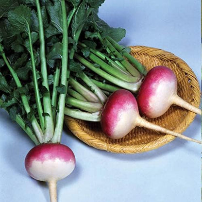 Park Seed Royal Crown Hybrid Turnip Seeds, Mild and Perfect for Soups, Pack of 600 Seeds
