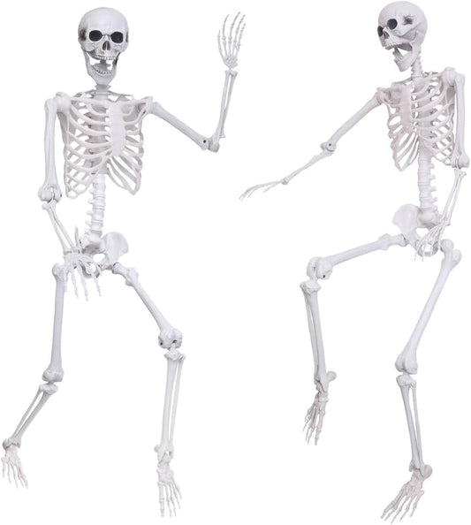 5.4Ft Halloween Life Size Skeleton,2PCS Posable Skeleton Full Body Size Realistic Human Bones with