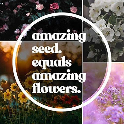 Midwestern Wildflower Seeds Bulk – 5 lb, 3 Million+ Seeds – Native Prairie Wildflower Mix for Midwest USA – Annual & Perennial Pollinator Flower Seed for Garden, Meadow & Landscaping