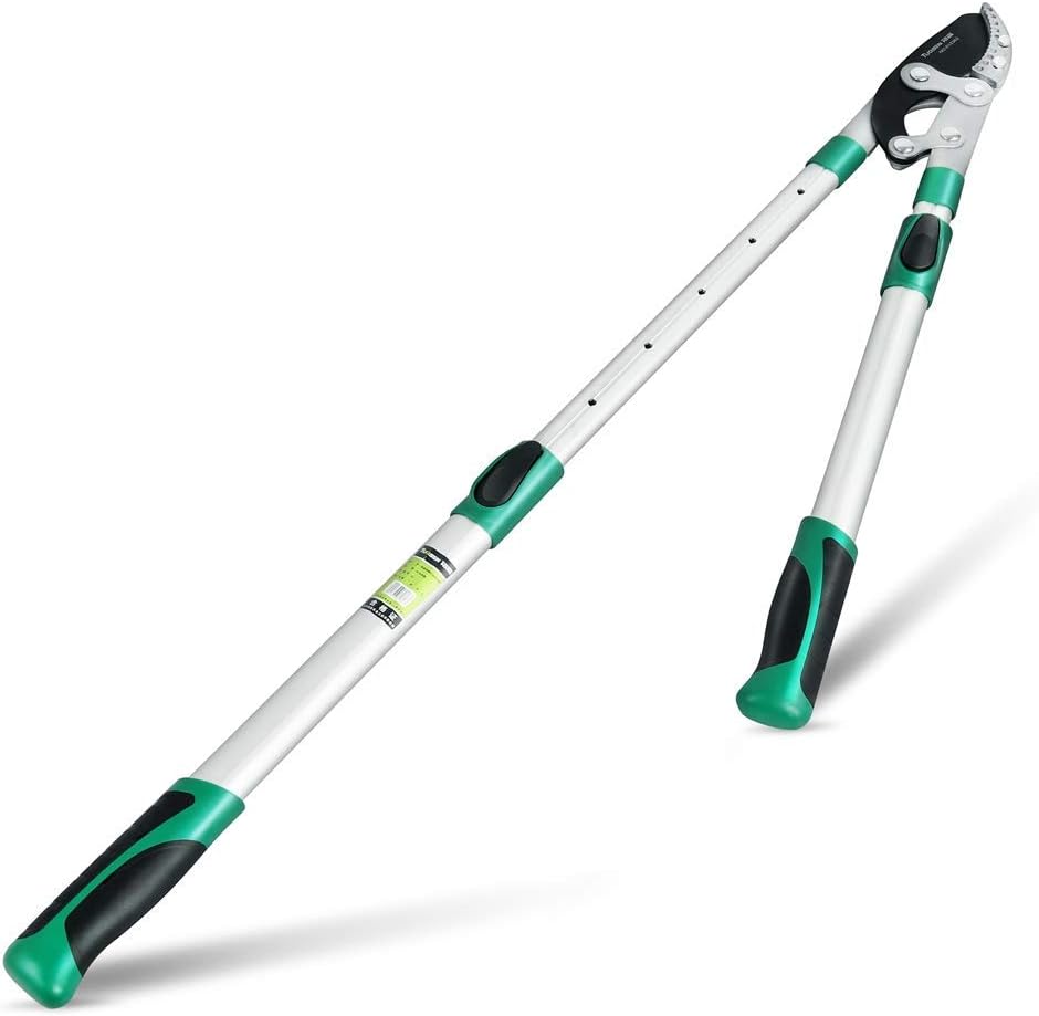 Heavy Duty Anvil Lopping Shears -2 inch Cutting Capacity Bypass Lopper - Extendable 26 Inch to 41 Inch,Professional Tree Branch Cutter