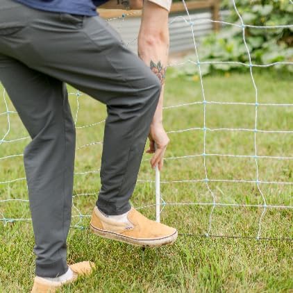 Starkline Electric Poultry Netting Kit - AC Energizer (48" x164' White/Blue Poultry Netting) (12/48/3) All-in-One Electric Fence Kit for Backyards, Homesteads, Ranches or Farms
