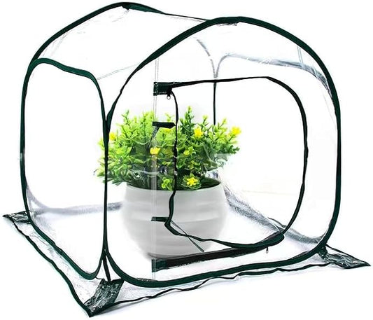 Greenhouses for Outdoors, Portable Greenhouse Kit with Side Windows, PE Cover, Backyard Garden Indoor Outside, Foldable, No Assembly Required (Transparent, 31.5“ * 31.5" * 31.5")