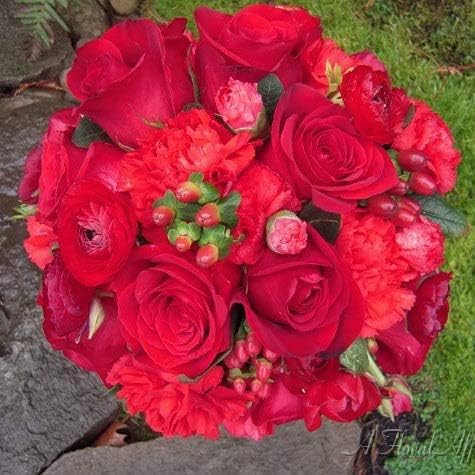 Ranunculus Bulbs - Red - 40 Bulbs - Red Flower Bulbs, Corm Attracts Bees, Attracts Pollinators, Easy to Maintain & Grow, Fragrant, Container Garden