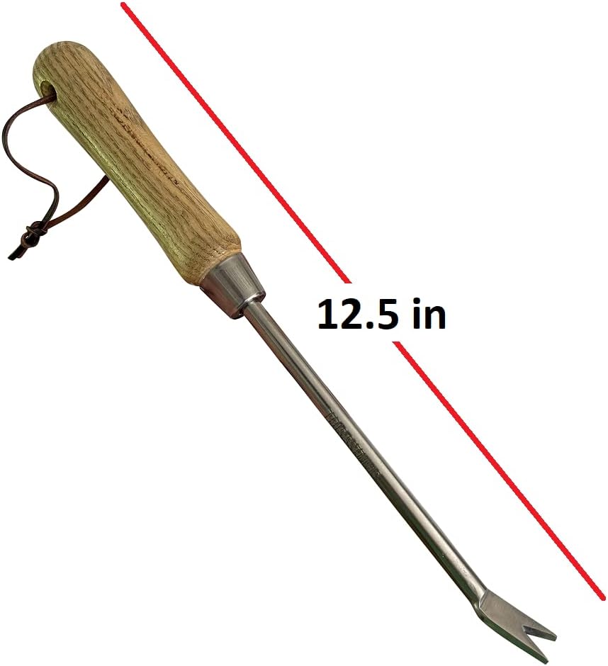 Garden Guru Eco Dandelion Weeder Tool w/Ergonomic Wood Handle - 100% Recycled Stainless Steel - Rust Resistant - FSC Certified Wood - Weed Puller for Planting Weeding Flower & Vegetable Care, 4 Pack