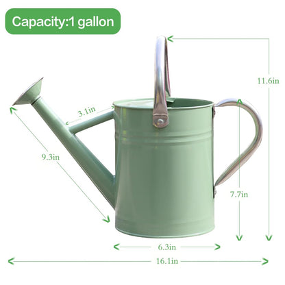 yourjoy Metal Watering Can 1 Gallon for Outdoor Garden Plants, CGreen