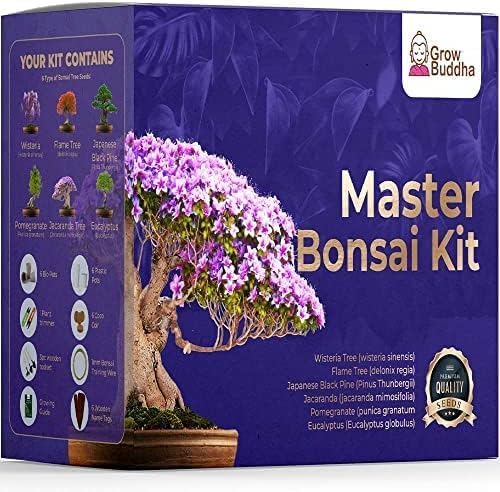 Master Bonsai Kit - Bonsai Plant Growing Kit - Professional Growing and Styling Bonsai Set - Japanese Bonsai - Become Bonsai Master - Ideal Bonsai Tree Seed Kit for Indoor Garden Gardening